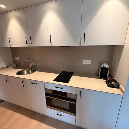 Apartment Esera Santa Liestra y San Quilez