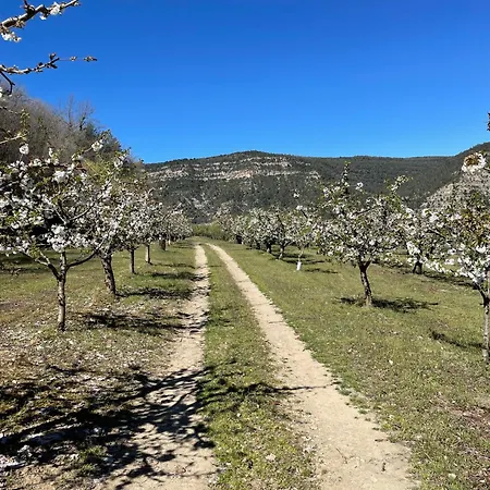 ésera