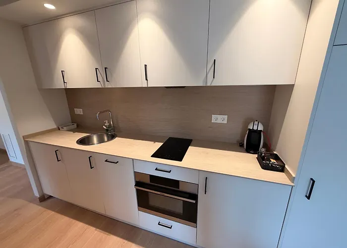 Apartamento ésera Santa Liestra y San Quílez